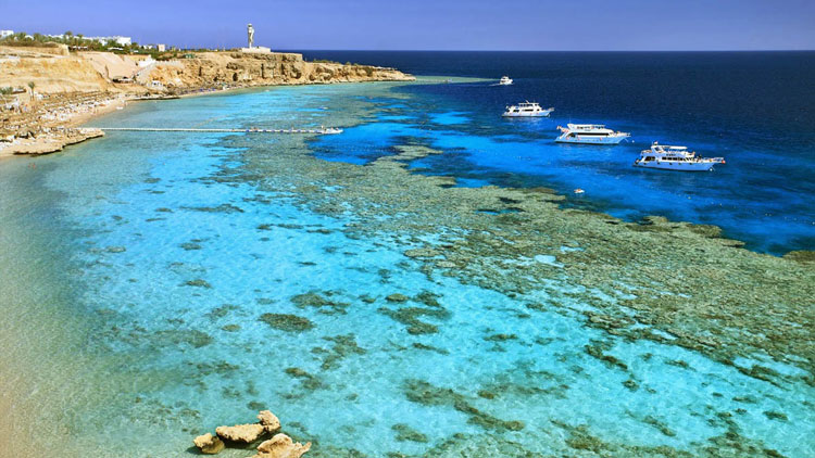 туры в египет, солигорск, монротур