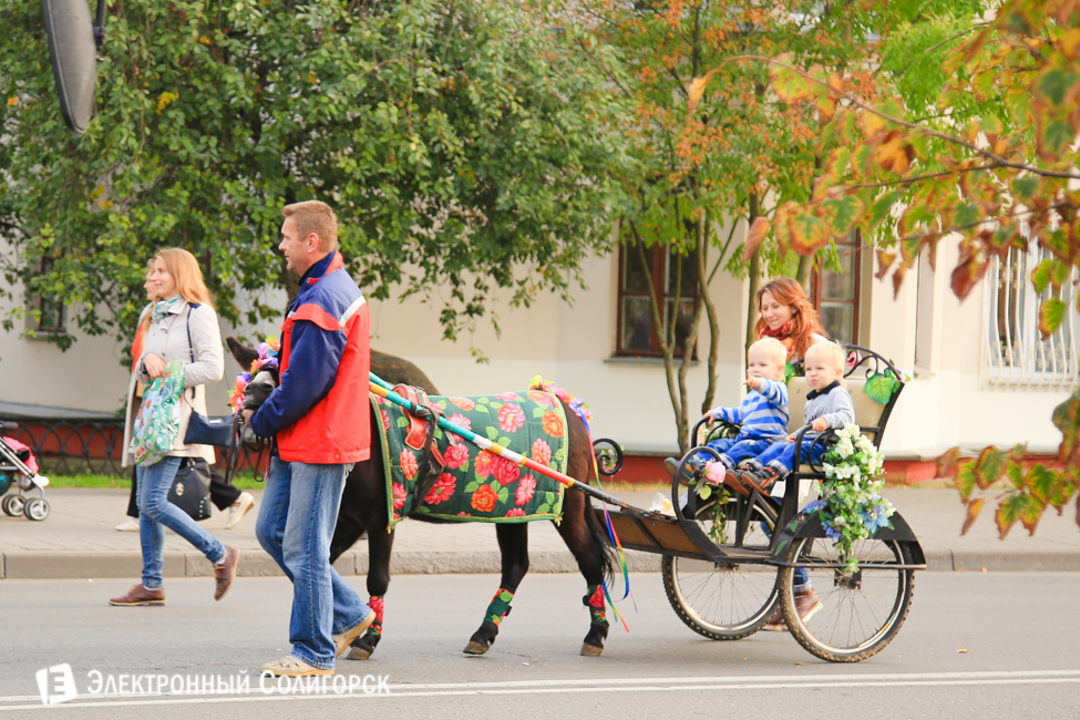 Слуцк 900 лет