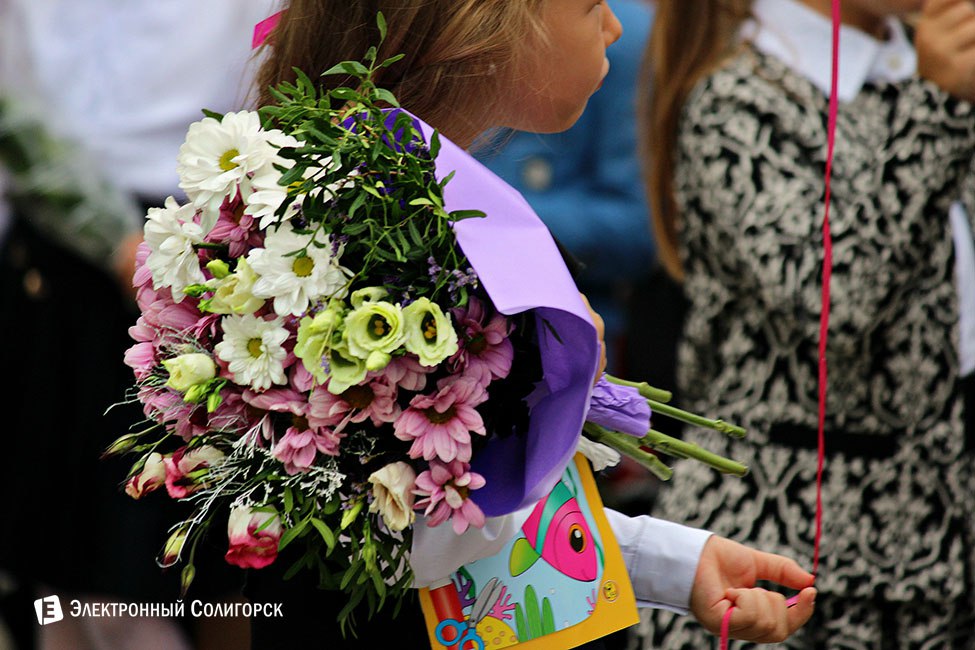 линейка, 2 школа, солигорск