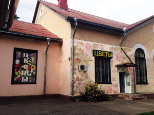 золотое дерево, солигорск