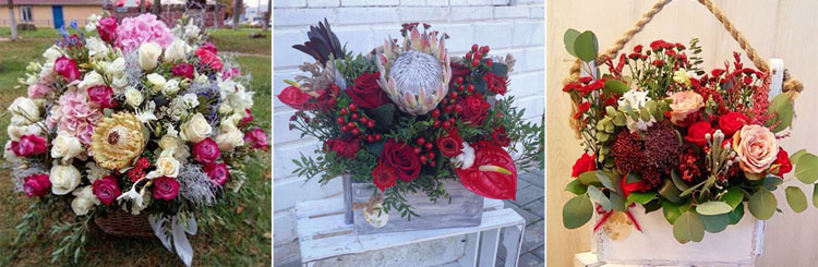 золотое дерево, солигорск