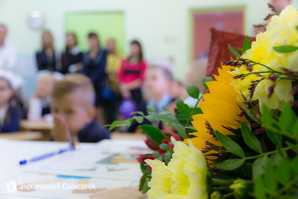 линейка, 2016, 3 гимназия, солигорск