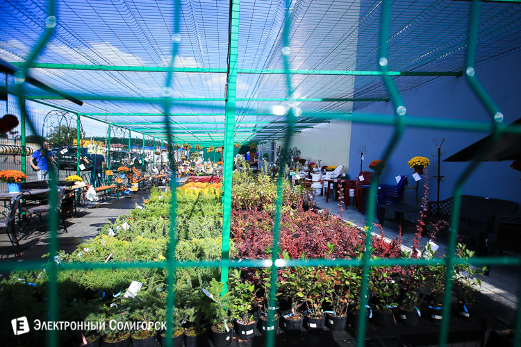 билд, строительный магазин, солигорск