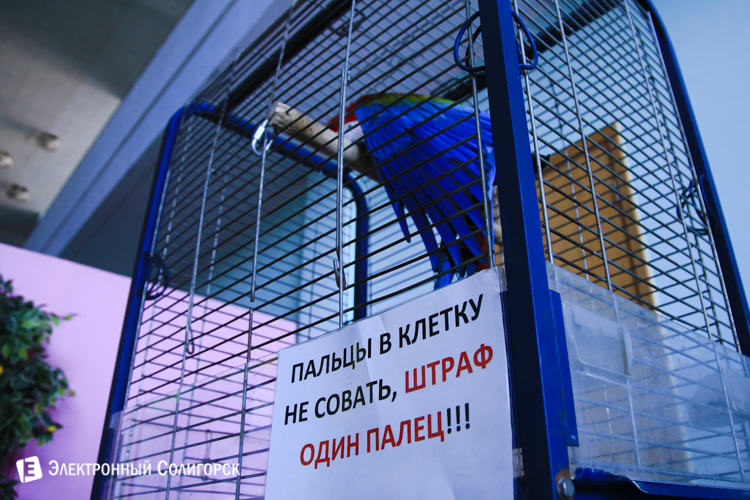 передвижной зоопарк в солигорске