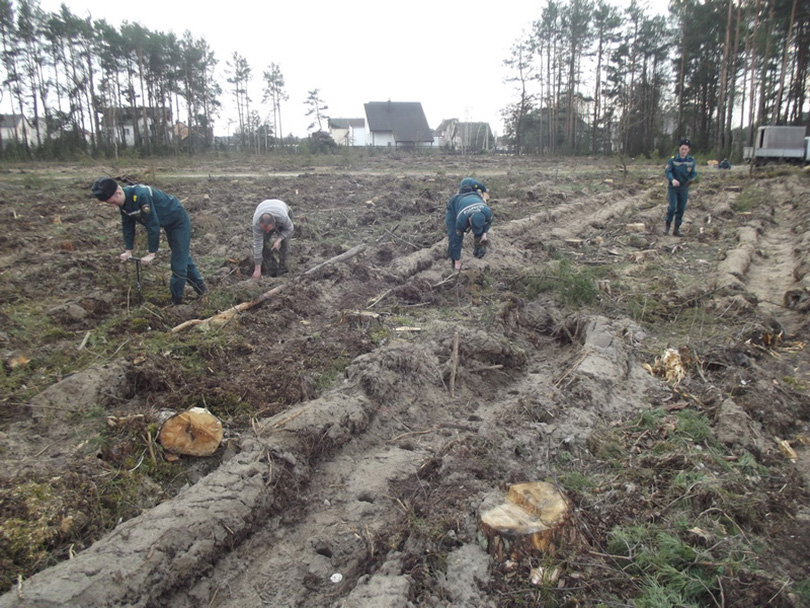 акция неделя леса Солигорск