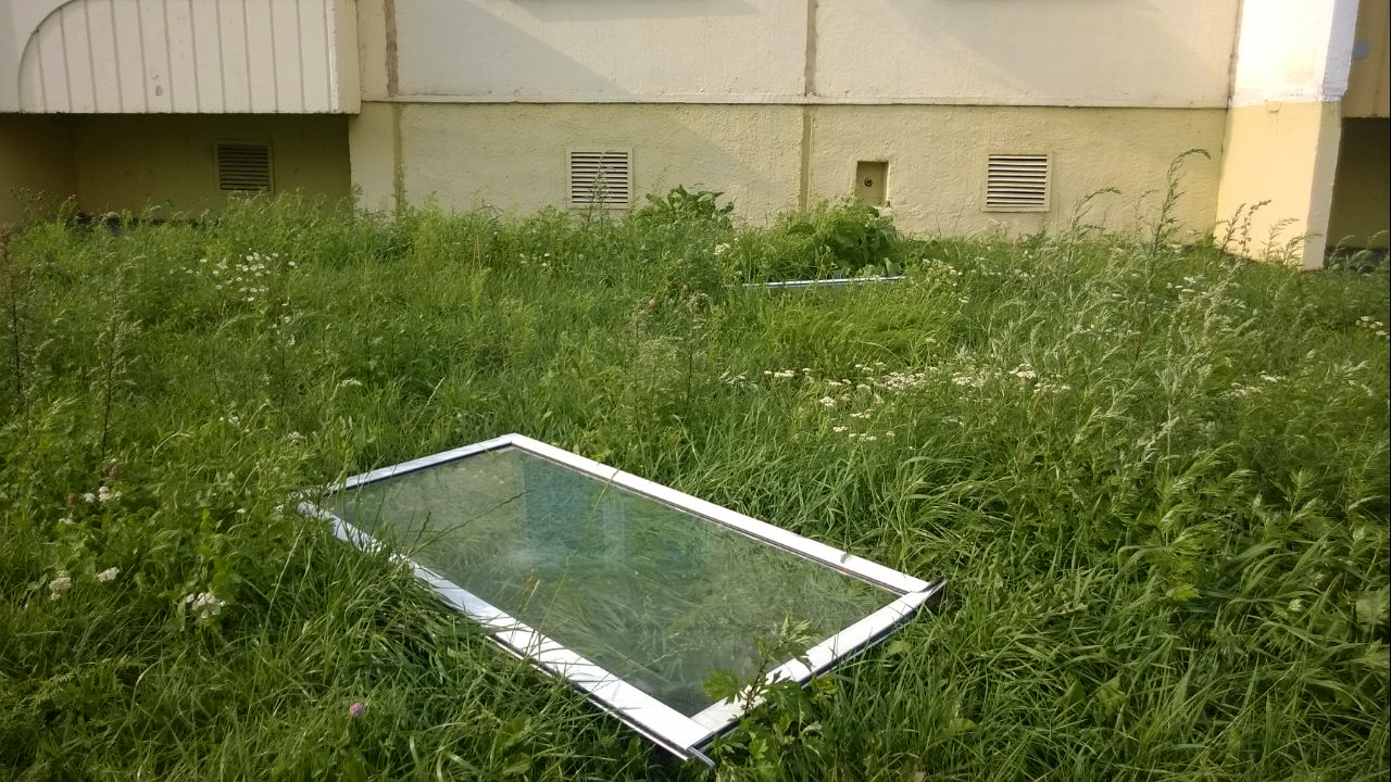 поваленное дерево Солигорск