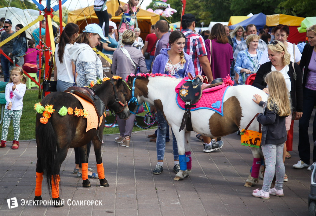 день города Солигорск