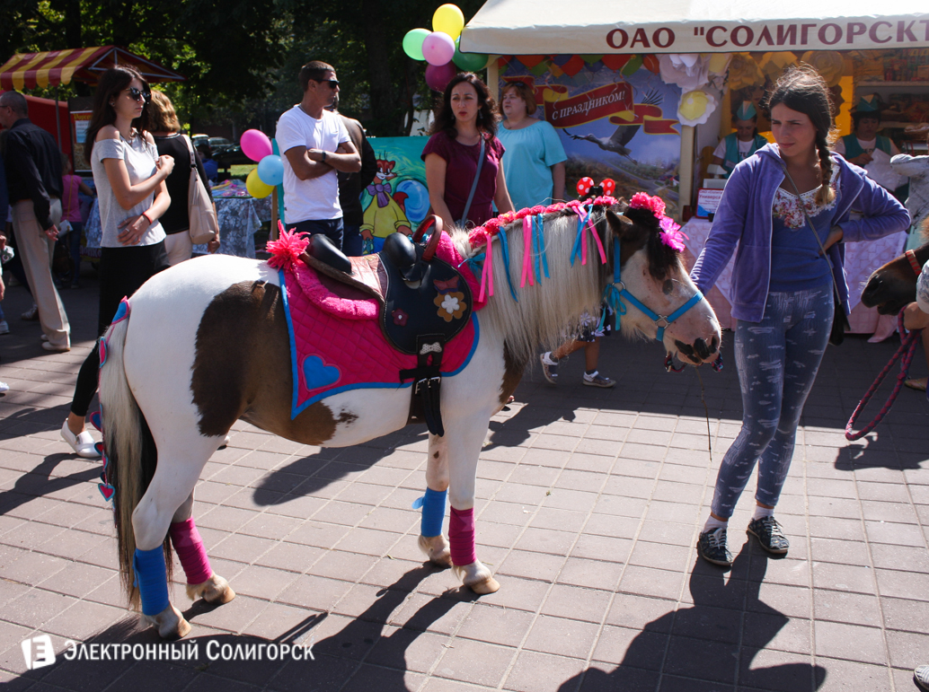 день города Солигорск