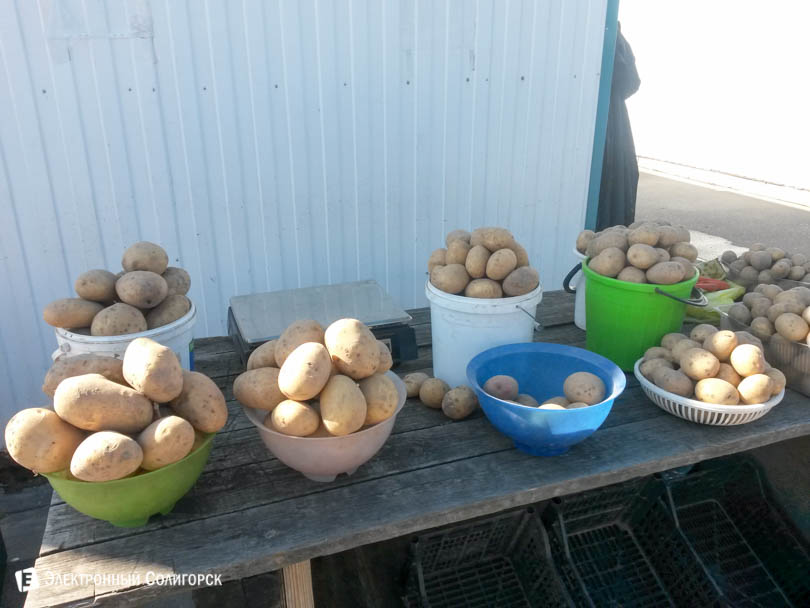 рынок в Солигорске