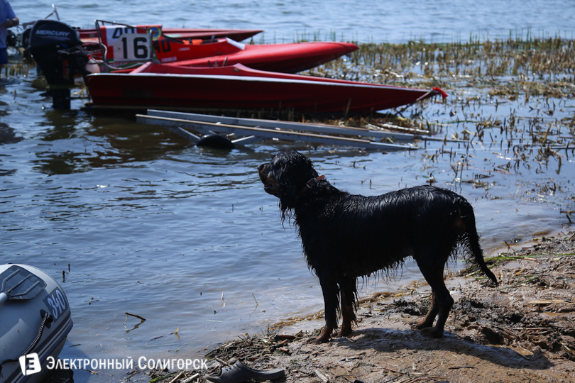водно-моторный спорт Солигорск