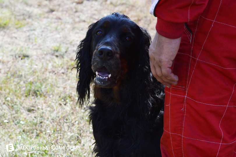 водно-моторный спорт Солигорск