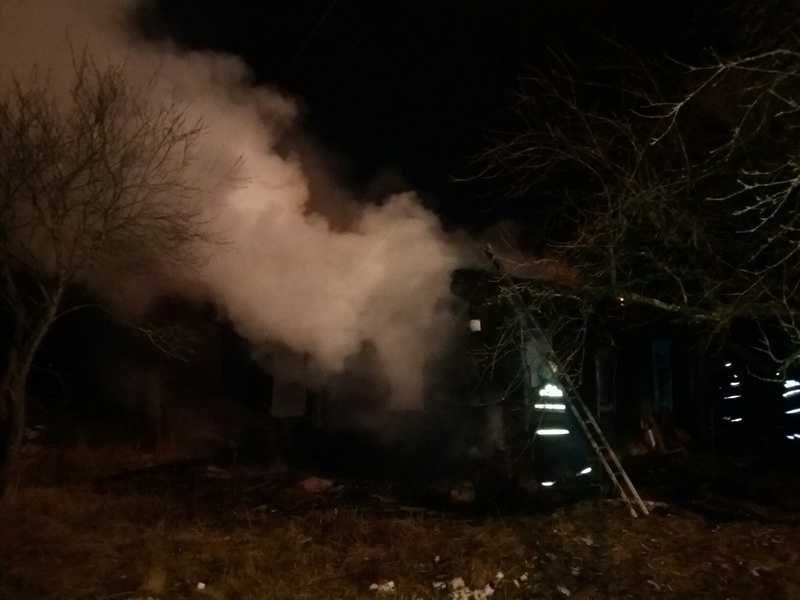 д.Домановичи гибель на пожаре