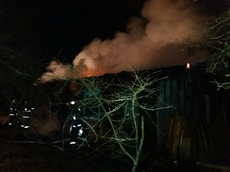 д.Домановичи гибель на пожаре