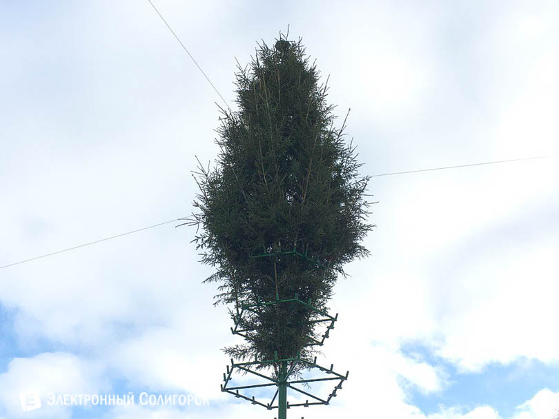 новогодняя елка Солигорск