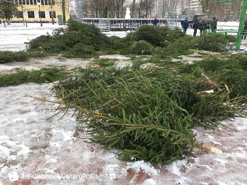 новогодняя елка Солигорск