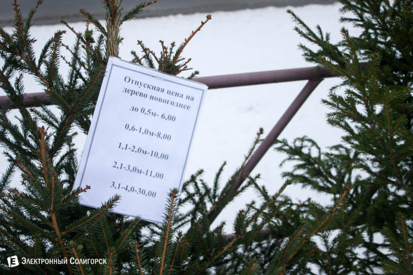 elochnyj bazar v soligorske 3