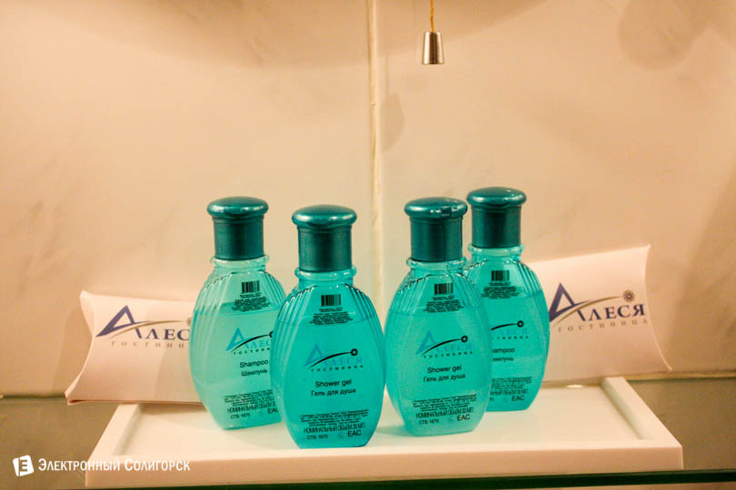 гостиница Алеся Солигорск логотип