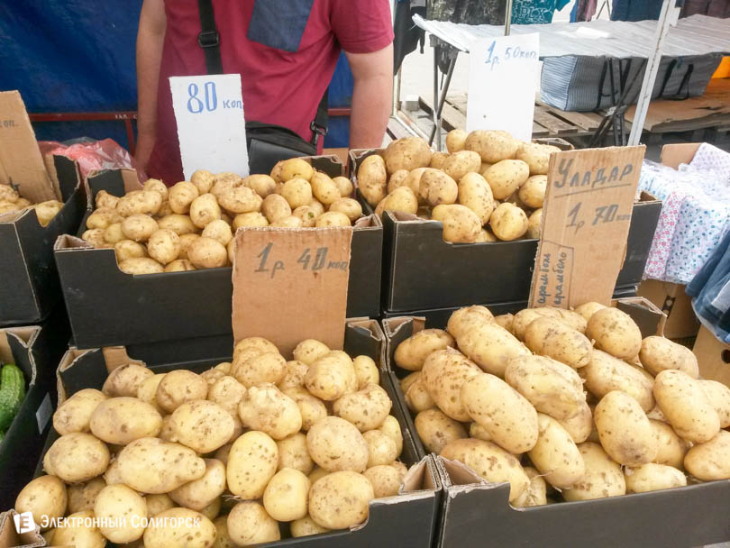 купить картошку Солигорск