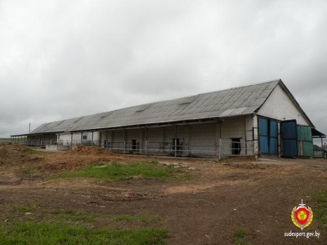 кража телят Слуцкий район д. Сороги