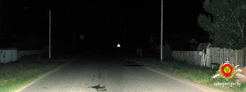 убийство в Любани