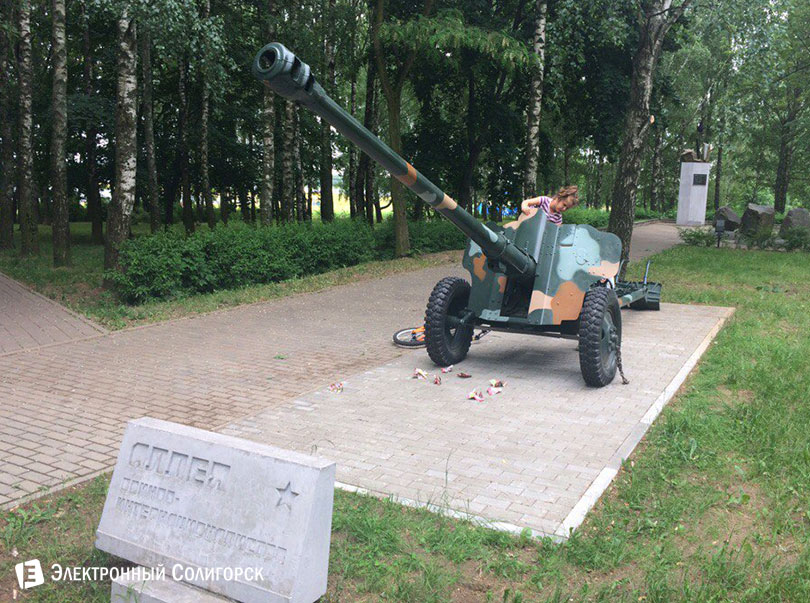 пушка Солигорск