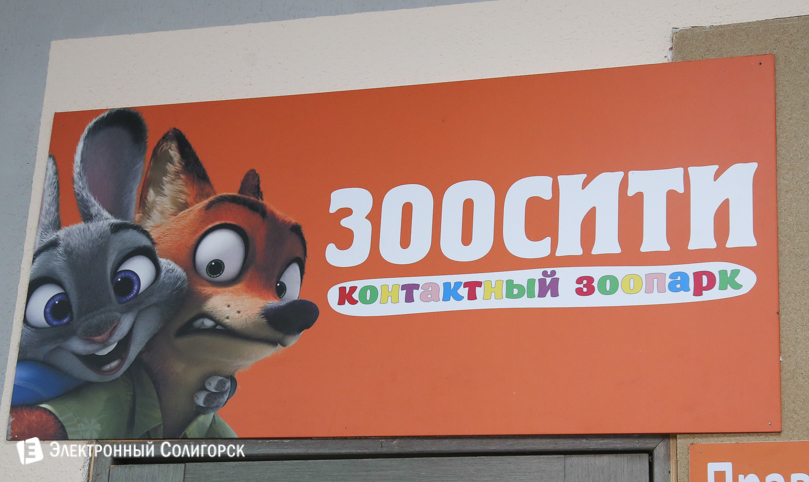 контактный зоопарк Солигорск