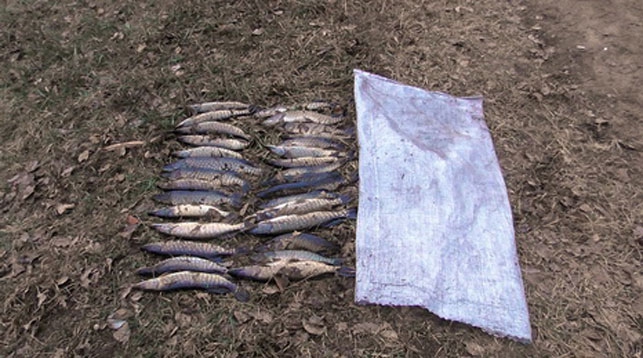 браконьеры Солигорск