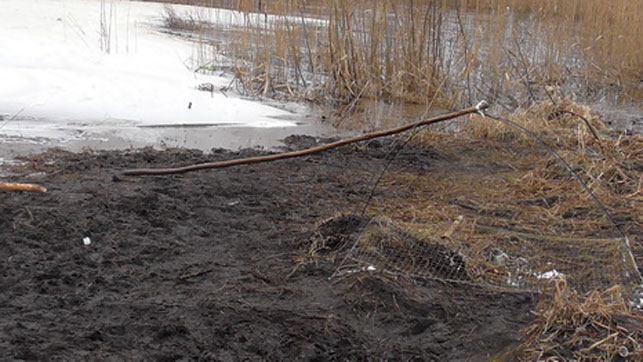 браконьерство Солигорск