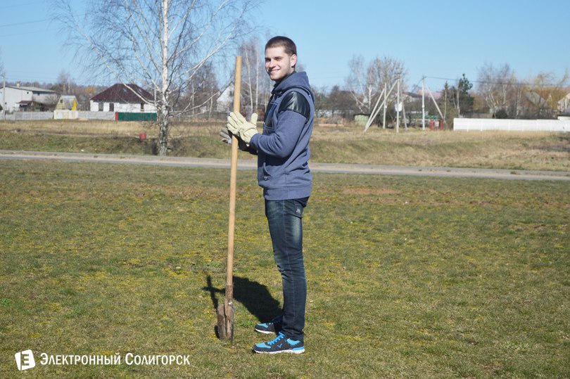 посадка деревьев Солигорск