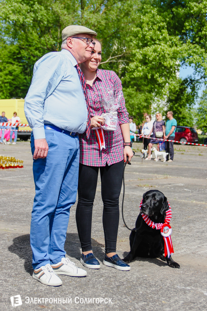 собачка Солигорск