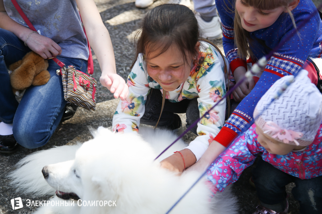 выставка собак Солигорск