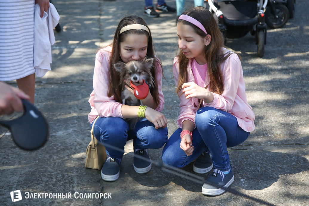 выставка собак Солигорск