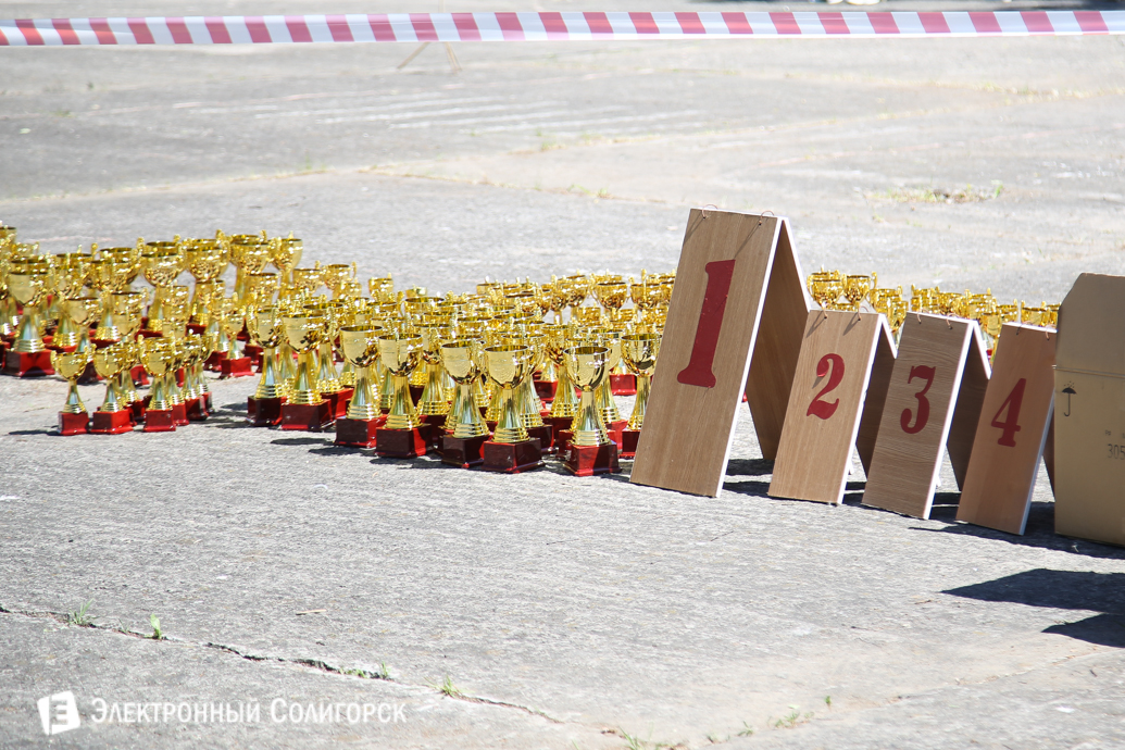 выставка собак Солигорск