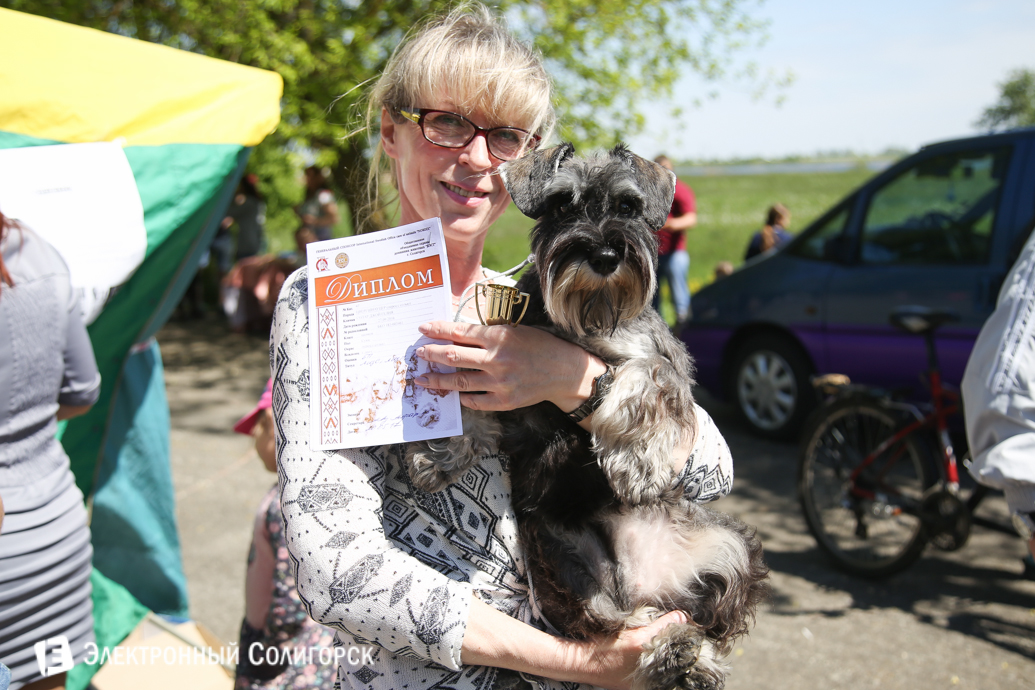 выставка собак Солигорск