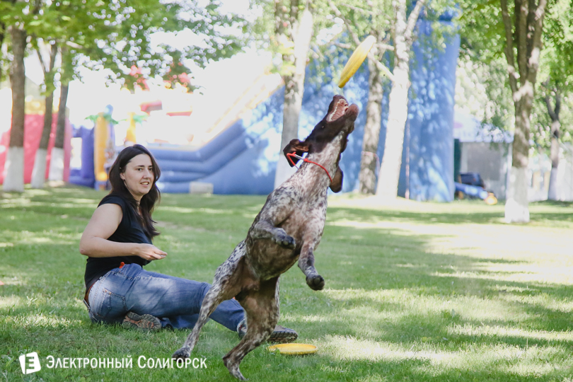 дог-фрисби Солигорск