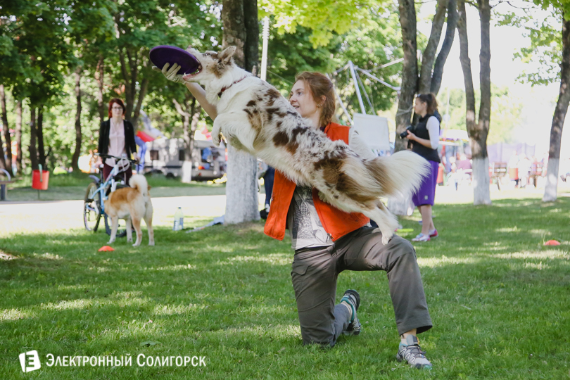 собаки фрисби Солигорск