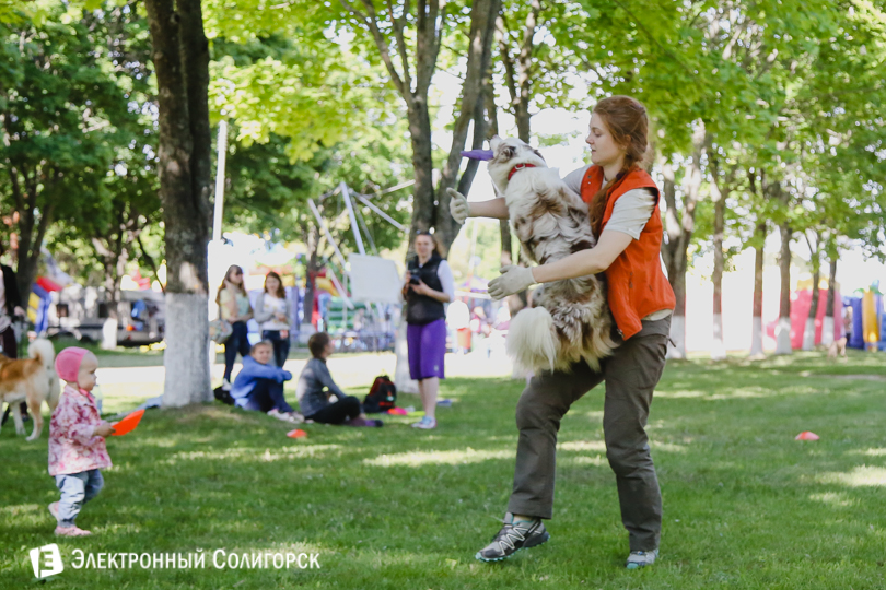 дог-фрисби Солигорск
