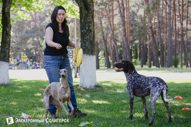 дог-фрисби Солигорск