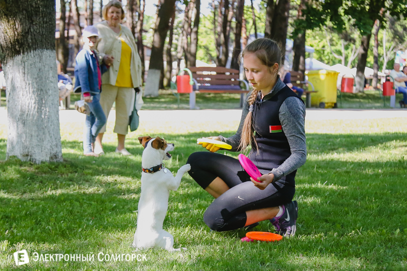 дог-фрисби Солигорск