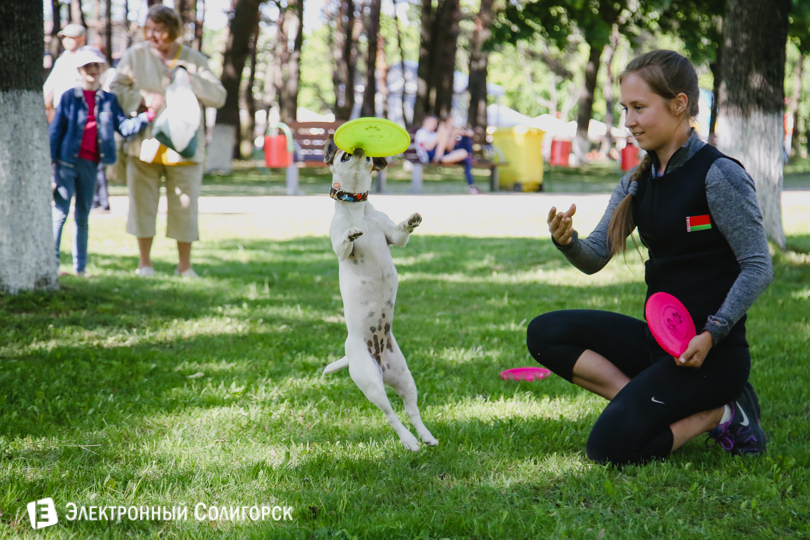 дог-фрисби Солигорск