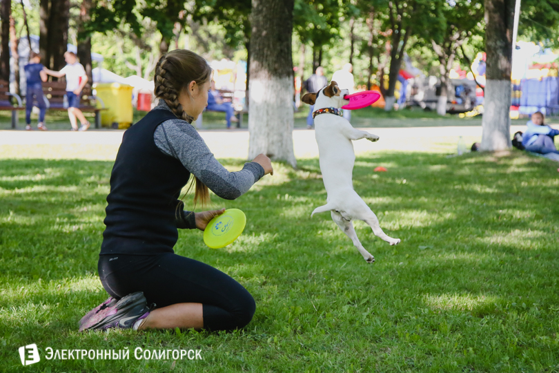 собаки фрисби Солигорск