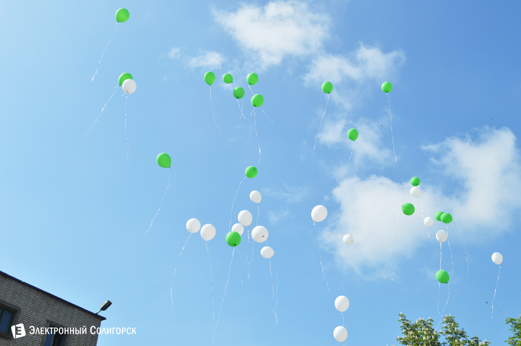 последний звонок школа№5 Солигорск 2017