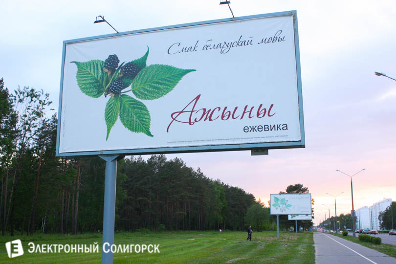 плакат смак мовы ажыны в Солигорске