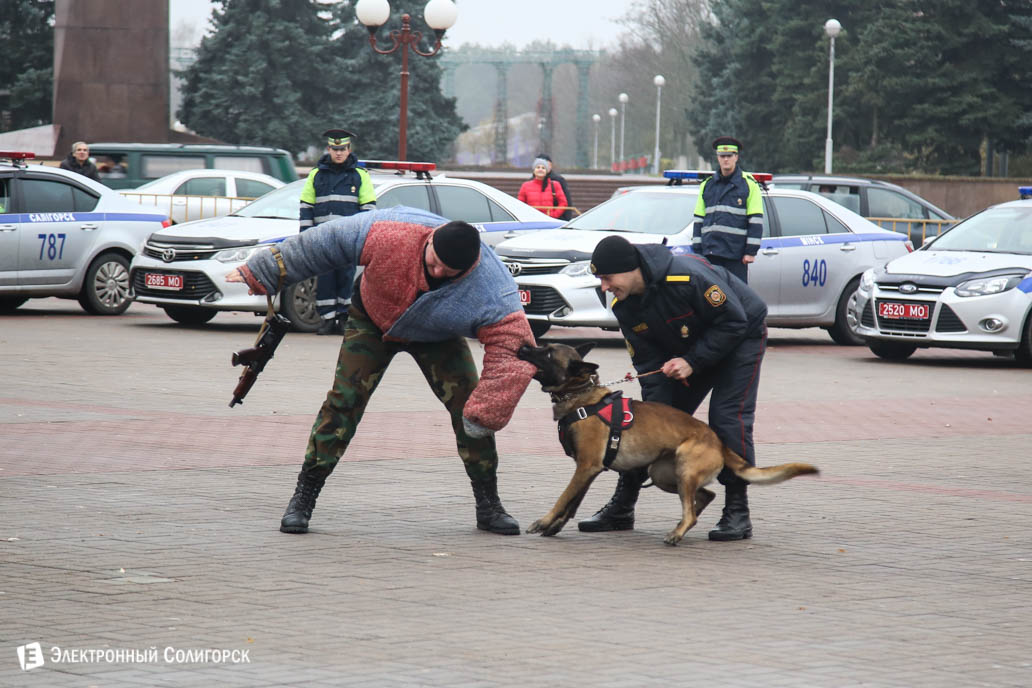 милиция Солигорск