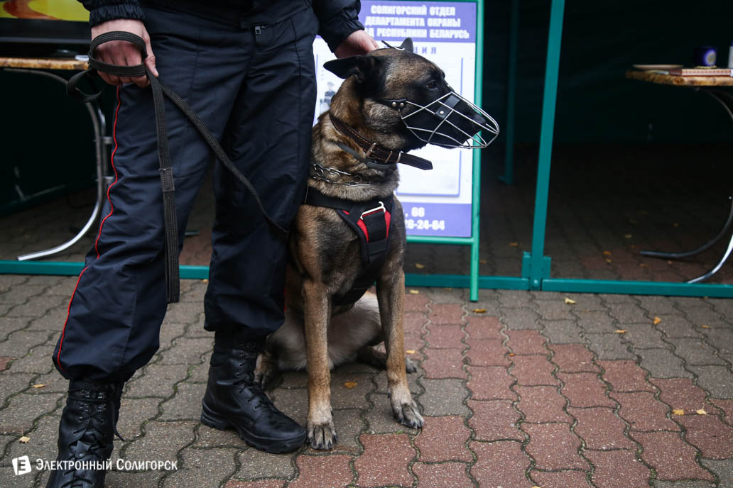 милиция Солигорск