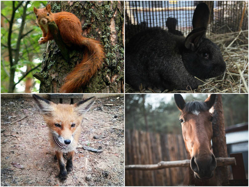усадьба Малиновка Солигорск Летенец