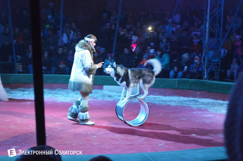 цирк Антре Солигорск