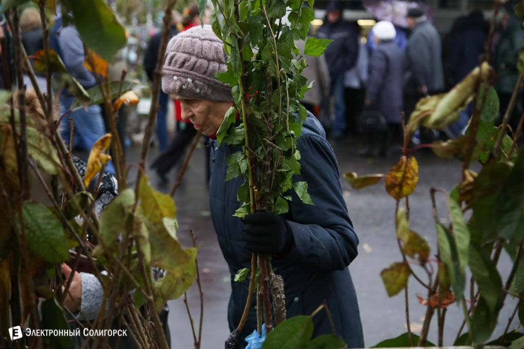 ярмарка региональная Солигорск