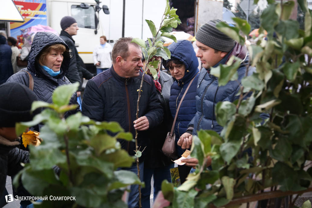 ярмарка региональная Солигорск