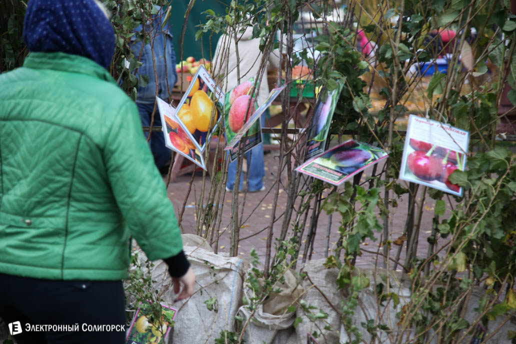 ярмарка региональная Солигорск